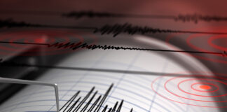 Gempa Guncang Lombok