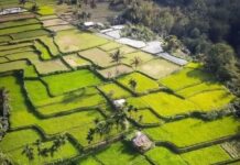 Mempertanyakan Arah Kebijakan Pertanian