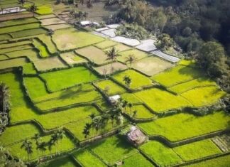 Mempertanyakan Arah Kebijakan Pertanian