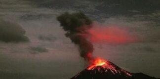 Penjelasan Kenapa Gempa Bisa Picu Tsunami