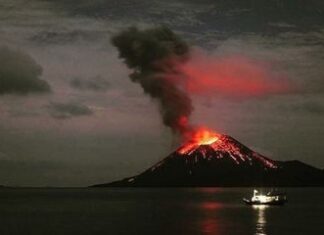 Penjelasan Kenapa Gempa Bisa Picu Tsunami
