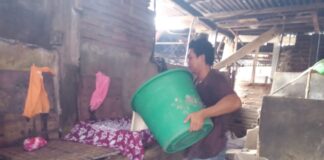 Harga Kedelai Perlu Perhatian Pemerintah