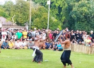 Perang Bintang Presean Demi Lestarikan Seni Tradisonal
