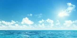 WMO: Lautan Dunia Mengkhawatirkan, Terpanas dan Paling Asam Sepanjang Sejarah