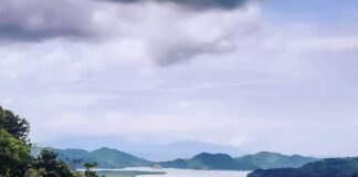 Kontribusi PDRB Sektor Pertanian,Perikanan dan Kehutanan Dalam RPJMD NTB 2019-2023