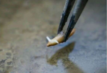 Astronot China Tes Tanam Padi di Luar Angkasa