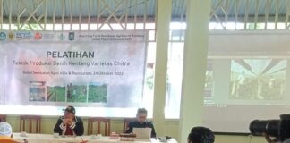 Program Matching Fund Unram Dukung Pengembangan Kentang Sembalun