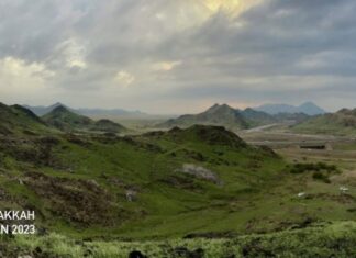 Langka, Vegetasi Hijau Menyelimuti Wilayah Gurun dan Pegunungan Tandus Arab Saudi