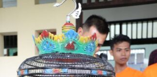 Gara-gara Burung Kembali ke Bui