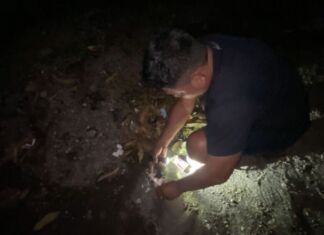 Polres Mataram Amankan Empat Terduga Pengedar Sabu