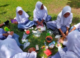 Kurikulum Merdeka Merdekakan Siswa Belajar