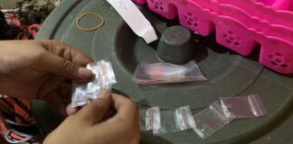 Nenek Jual Sabu, Cucu Ikutan