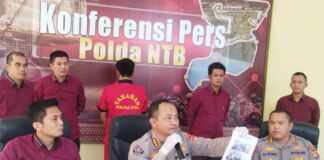 Angkut Benih Lobster, Sopir Truk Ditangkap