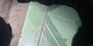 Gara-gara Sabu 5,9 gram, 7 Tahun penjara Menanti