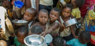 Pangan Dunia Makin Rawan dan Mengerikan!