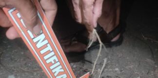 Brem Berujung Kematian