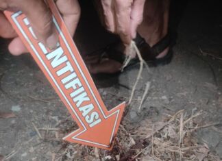 Brem Berujung Kematian