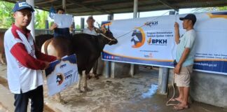 LAZISMU NTB Gandeng BPKH Tebar Berkah Sedekah Qurban 1444H