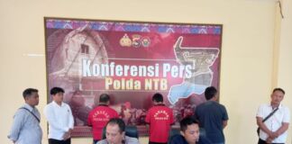 Jual Daging Penyu, 5 Tahun Penjara Menanti