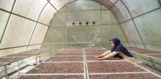 Jaga Kualitas Kopi dengan Solar Dryer Dome