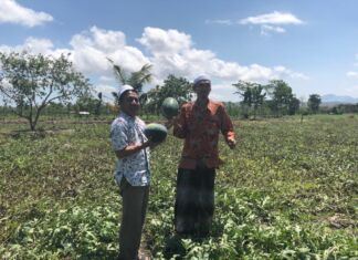 Sulhan Muchlis, Pelopor Gerakan Diversifikasi Pangan di Pondok Pesantren