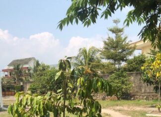 Pelopori Gerakan Menyelamatkan Lingkungan dari Pondok Pesantren, Sulhan Muchlis Gagas Program ”Hijau Pesantrenku, Lestari Desaku”