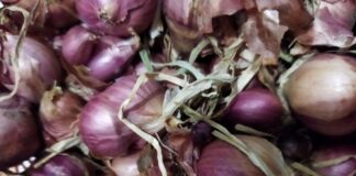 Harga Bawang Merah Turun, Pemprov NTB Cari Jalan