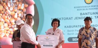 Dukung NTB Jadi Lumbung Beras Nasional, Mentan Gelontorkan Bantuan Ratusan Miliar