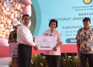 Dukung NTB Jadi Lumbung Beras Nasional, Mentan Gelontorkan Bantuan Ratusan Miliar