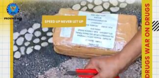 BNN NTB Gagalkan 1.105 Gram Ganja