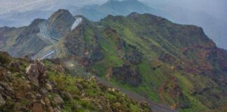 Makkah Kian Menghijau, Peningkatan Hingga 600 Persen