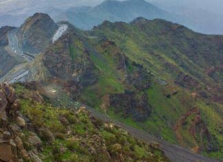 Makkah Kian Menghijau, Peningkatan Hingga 600 Persen