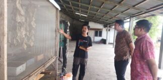 Tim TJSL Bank NTB Syariah Kunjungi Budidaya Magot Ranjok