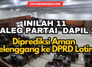 Daftar 11 Caleg Dapil 2 yang Diprediksi Aman Melenggang ke DPRD Lotim