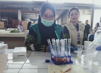 Waspada Boraks dan Rodamin di Makanan