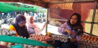 Harga Daging Naik, Harga Telur Diluar Kewajaran