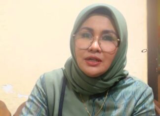 Harga Beras, PR Pemerintah