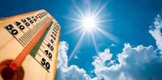 Waspada: Februari 2024 Tercatat Sebagai Bulan Terpanas Bumi