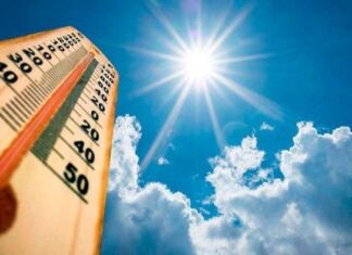 Waspada: Februari 2024 Tercatat Sebagai Bulan Terpanas Bumi