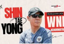 Bawa Timnas Berprestasi Tinggi, Shin Tae Yong Diusulkan Jadi WNI Kehormatan
