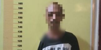 Kepincut Burung Kutilang, ES Gadaikan Kebebasannya