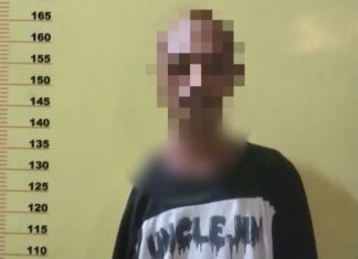 Kepincut Burung Kutilang, ES Gadaikan Kebebasannya