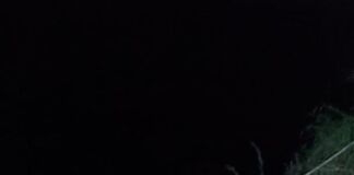 Wisatawan Asal Swiss Terjatuh dan Meninggal di Jalur Pendakian Bukit Dara