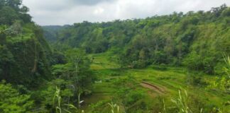 Menyusuri Lembah Datu Mencari Jejak Masa Lalu