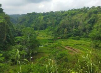 Menyusuri Lembah Datu Mencari Jejak Masa Lalu