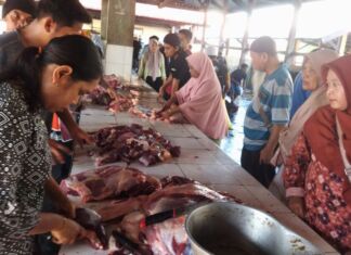 Hati Hewan Qurban Ada Cacingnya, Ini Yang Perlu Dilakukan