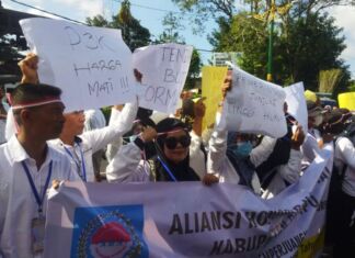 Minta Kejelasan Nasib, Massa Aliansi Honorer Nasional (AHN) NTB Gelar Aksi di DPRD NTB