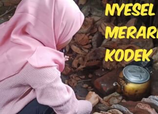 “Merarik Kodek” Bukan Budaya Sasak Lombok