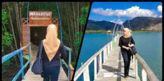 Merayu Lubang Paru-Paru dengan Segarnya Udara Mangrove