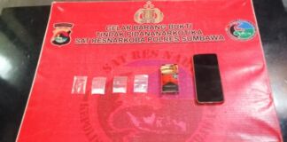 Telusuri Informasi dari Masyarakat, Polisi Amankan Terduga Pengedar Sabu